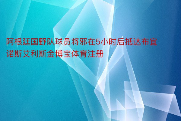 阿根廷国野队球员将邪在5小时后抵达布宜诺斯艾利斯金博宝体育注册